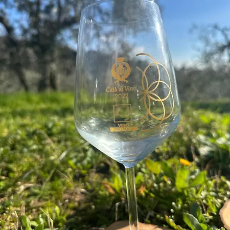 La Grotta Di Leonardo A Vinci 3*