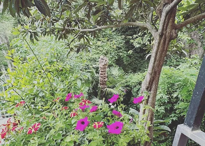 La Grotta Di Leonardo A Vinci 3*